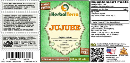 Jujube (Ziziphus Jujuba) Glycerite, Alcohol-Free Liquid Extract - 5 x 2 fl oz (5 x 60 ml)