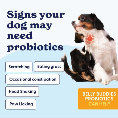 Origin Labs Belly Buddies Probiotics for Dogs - Prebiotics & Probiotics - 5 Billion CFU - Natural Bacon Flavour, 90 Soft Chews