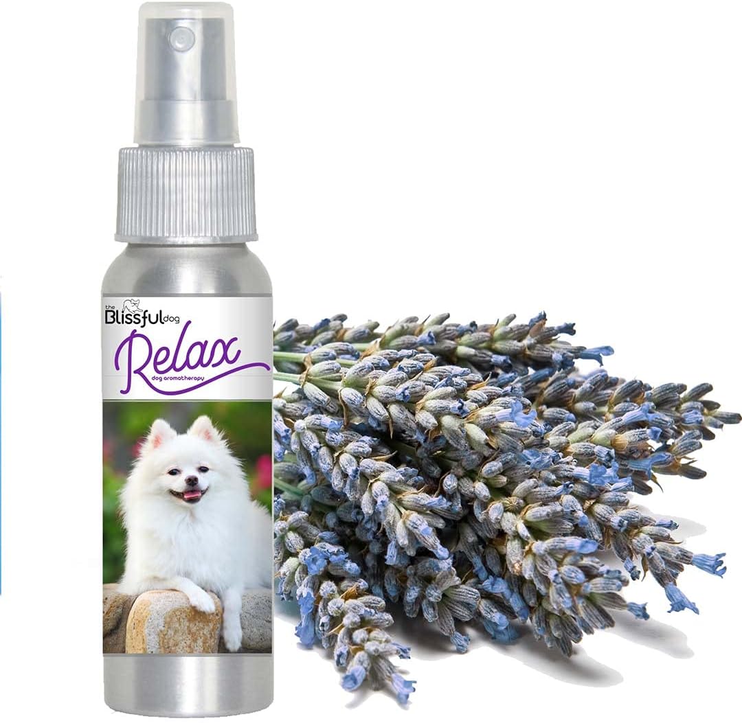 The Blissful Dog American Eskimo Relax Aromatherapy Spray for Dogs - görsel 3