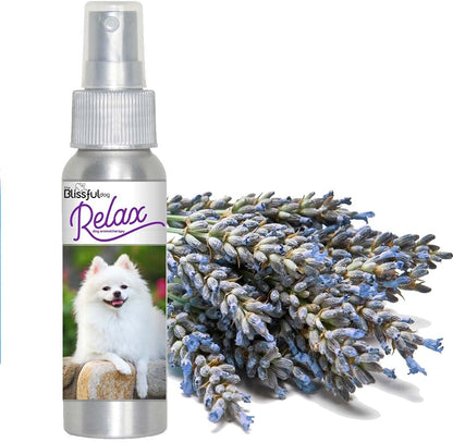 The Blissful Dog American Eskimo Relax Aromatherapy Spray for Dogs