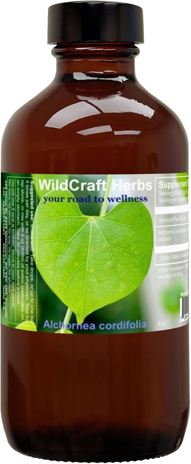 Alchornea Cordifolia Extract 118 ml - görsel 7
