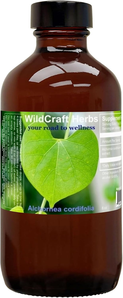 Alchornea Cordifolia Extract 118 ml