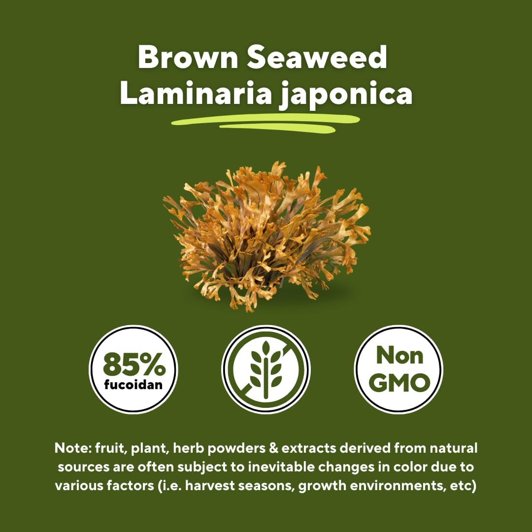 Vitapia Pure Fucoidan 85% Brown Seaweed Extract – 1000mg per Serving – 120 Veggie Capsules - görsel 4