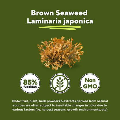 Vitapia Pure Fucoidan 85% Brown Seaweed Extract – 1000mg per Serving – 120 Veggie Capsules