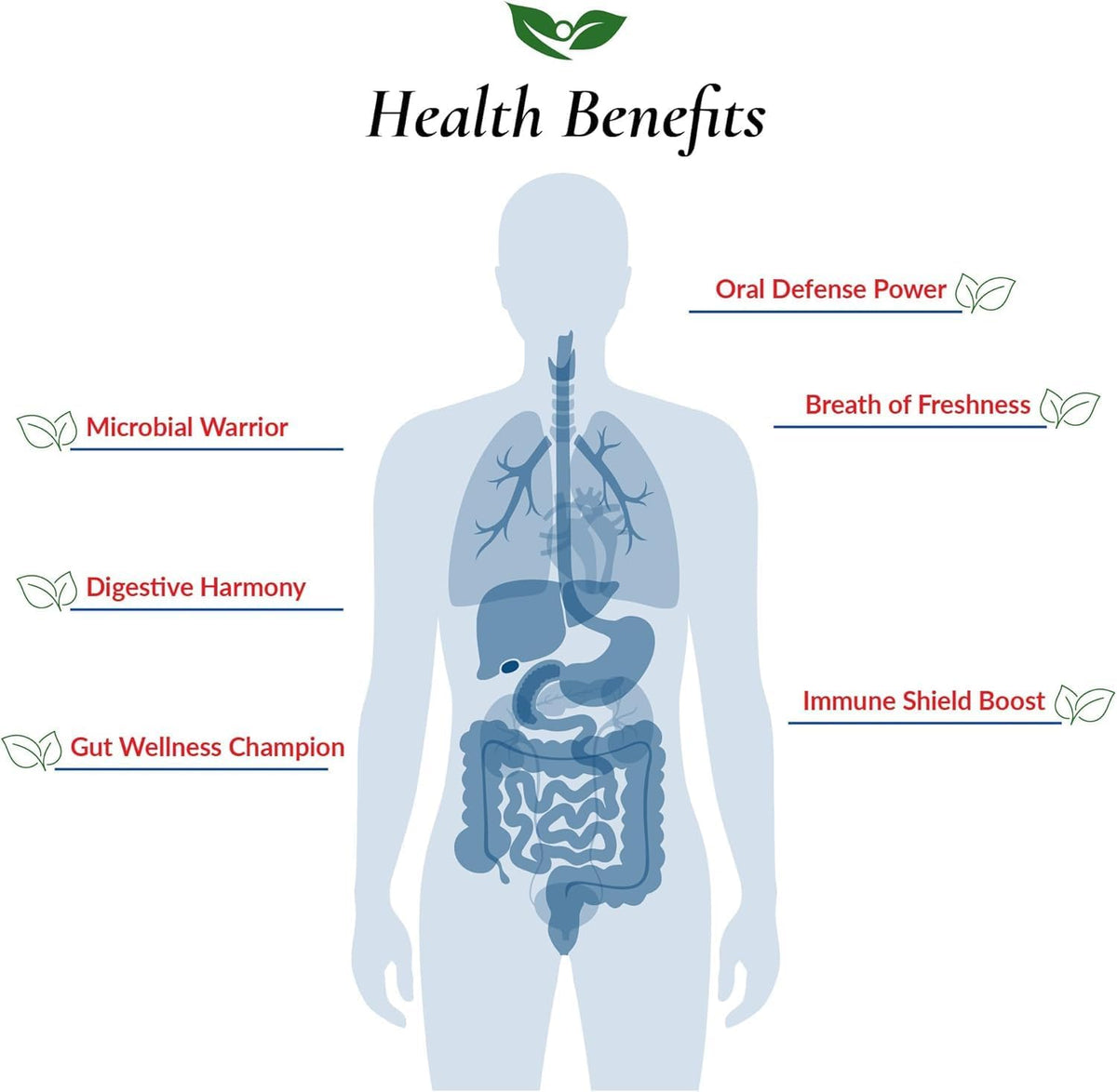 Foods For Gut Histamine & D-Lactate Free Probiotic Powder – 240 Billion CFU, 60 Grammes - görsel 4