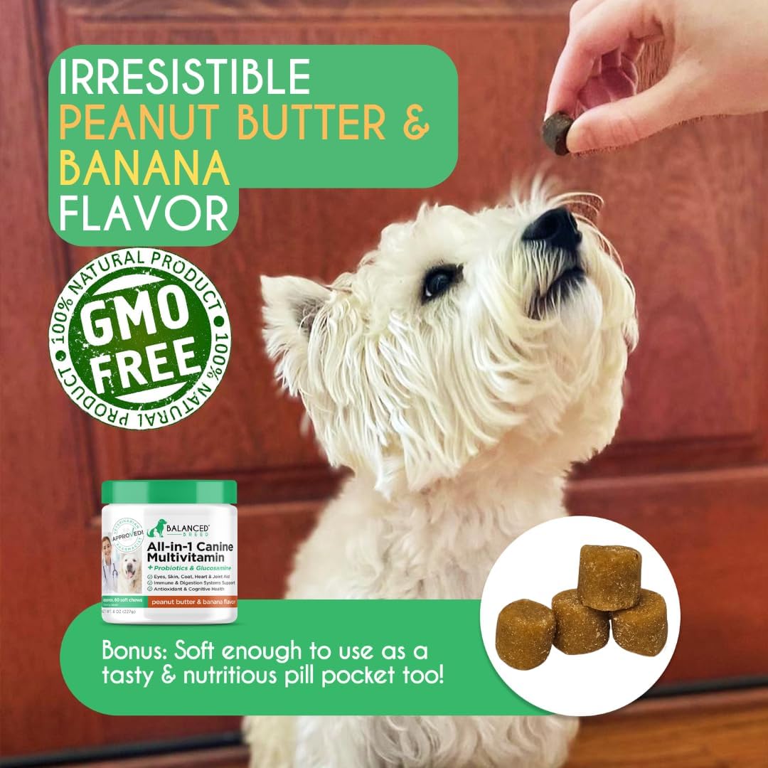 Balanced Breed All-in-1 Dog Multivitamin with Probiotics & Glucosamine - görsel 5