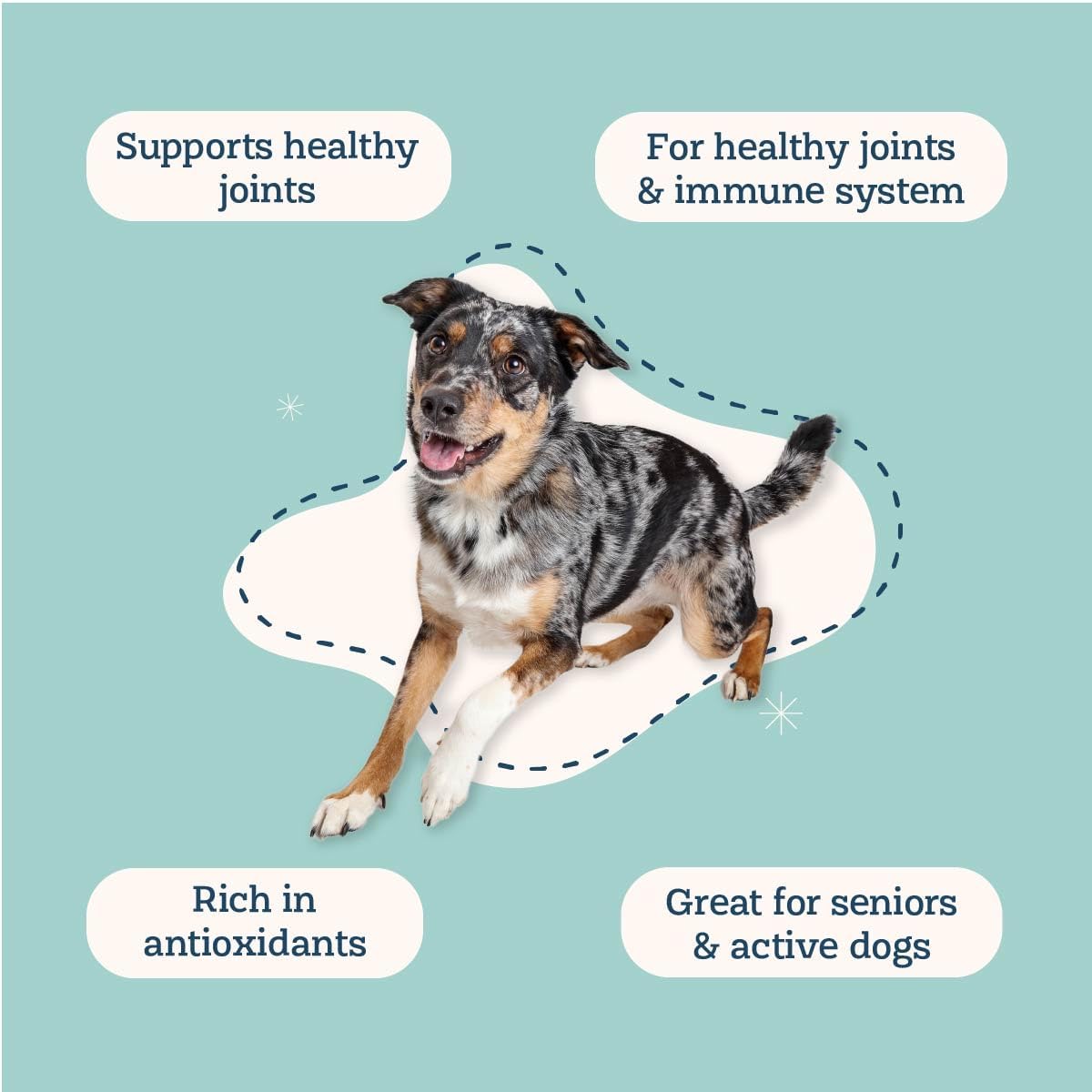 Alice & Eli Golden Groovin' Turmeric for Dogs - Natural Immune & Joint Support with Organic Curcumin, MCT & Fenugreek - 30 Day Large Dog Supply - görsel 3