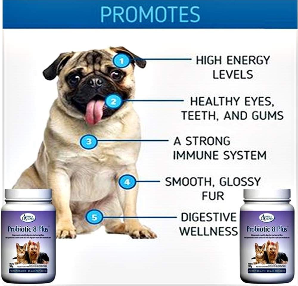Probiotic 8 Plus 500g - görsel 7