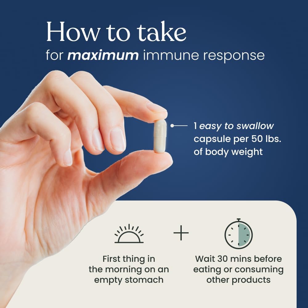 Better Way Health Advanced Immune Readiness Beta Glucan 500 – 500mg, 60 Capsules - görsel 6