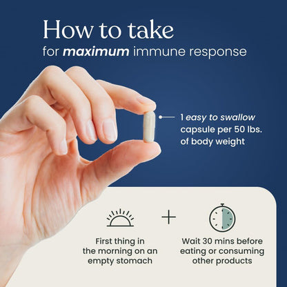 Better Way Health™ - Advanced Immune Readiness - Highly Purified 1,3/1,6 Beta Glucan 500 - Clinically Tested Immune Defence - 500mg/60 Capsules (Pack of 2)