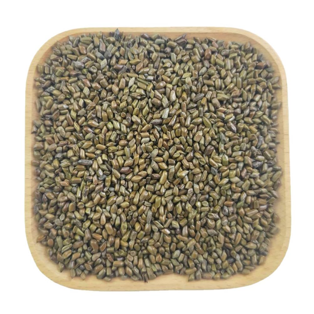 Semen Cassiae Jue Ming Zi (100g) - görsel 3