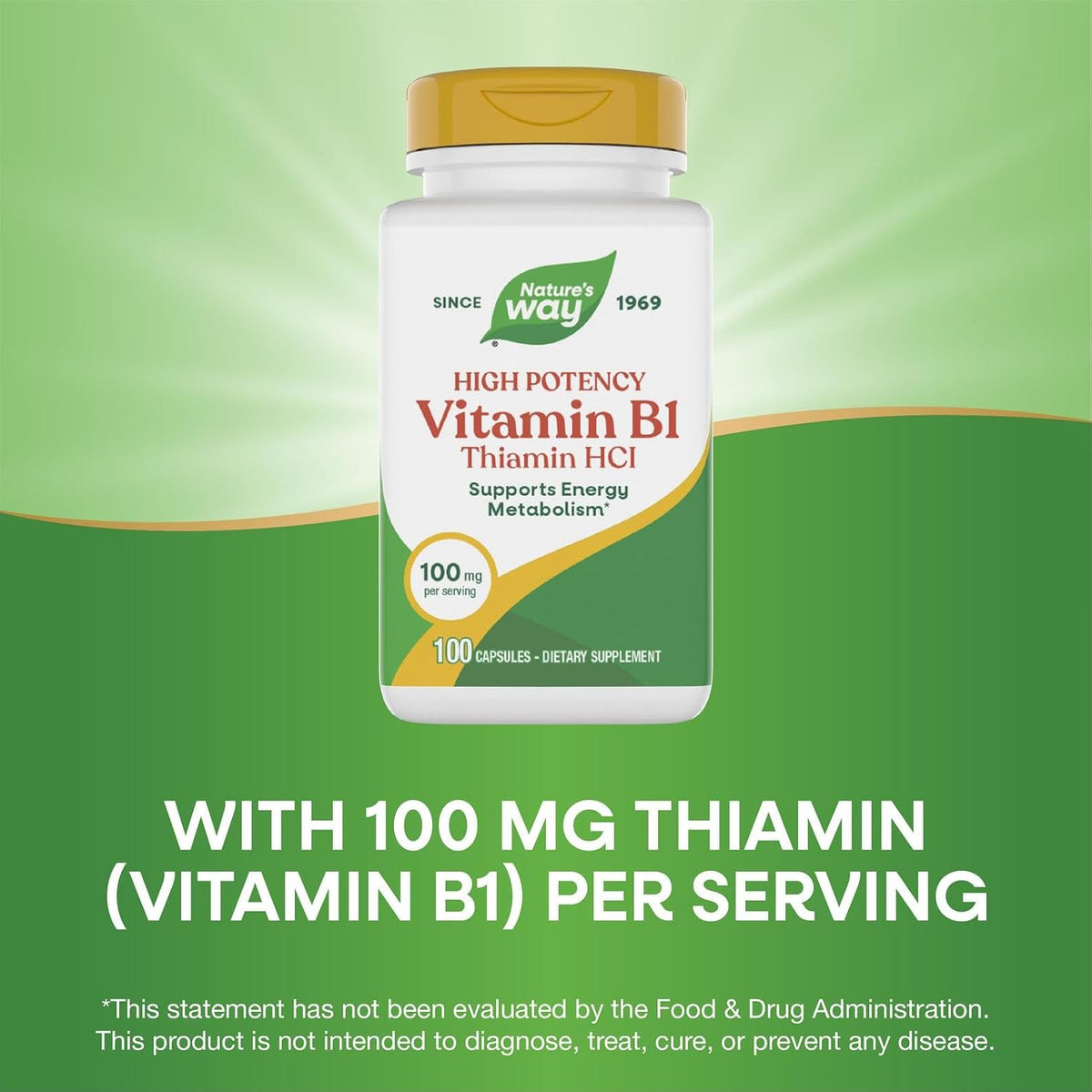 Nature's Way Vitamin B1, 100 mg Thiamine HCl, 100 Capsules - görsel 4
