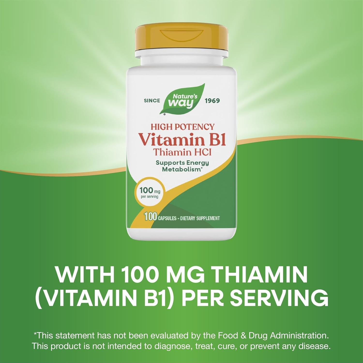 Nature's Way Vitamin B1, 100 mg Thiamine HCl, 100 Capsules - görsel 4