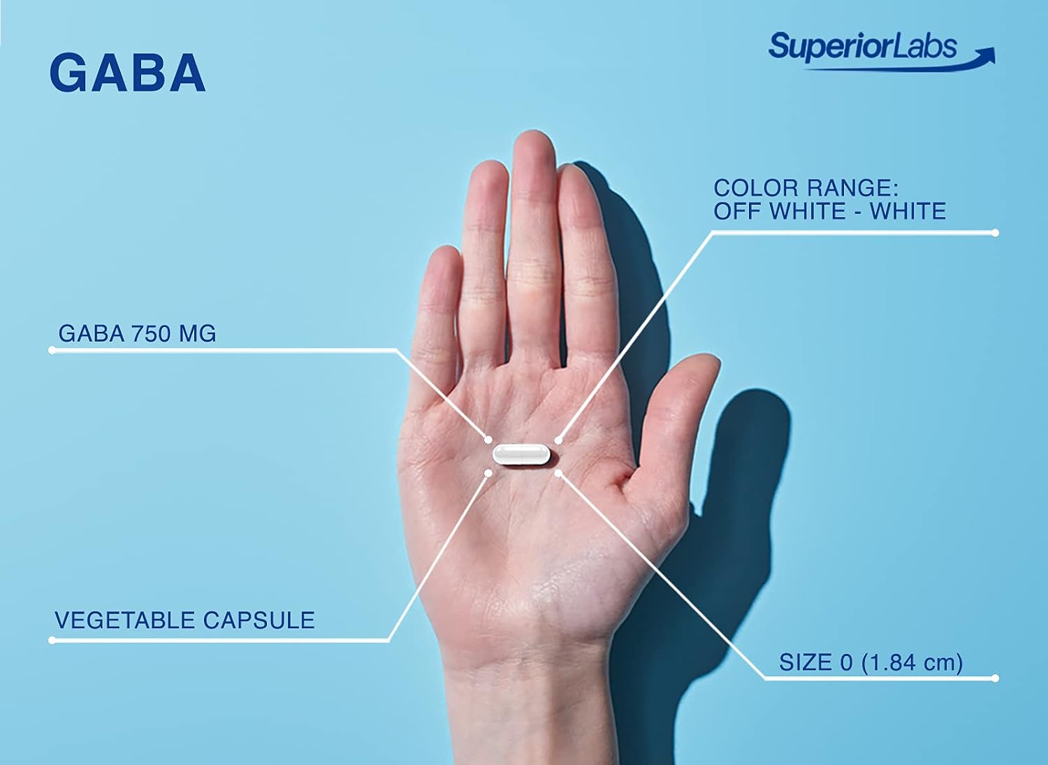 Superior Labs GABA Supplement 750mg – Maximum Strength Mood & Sleep Support - görsel 4