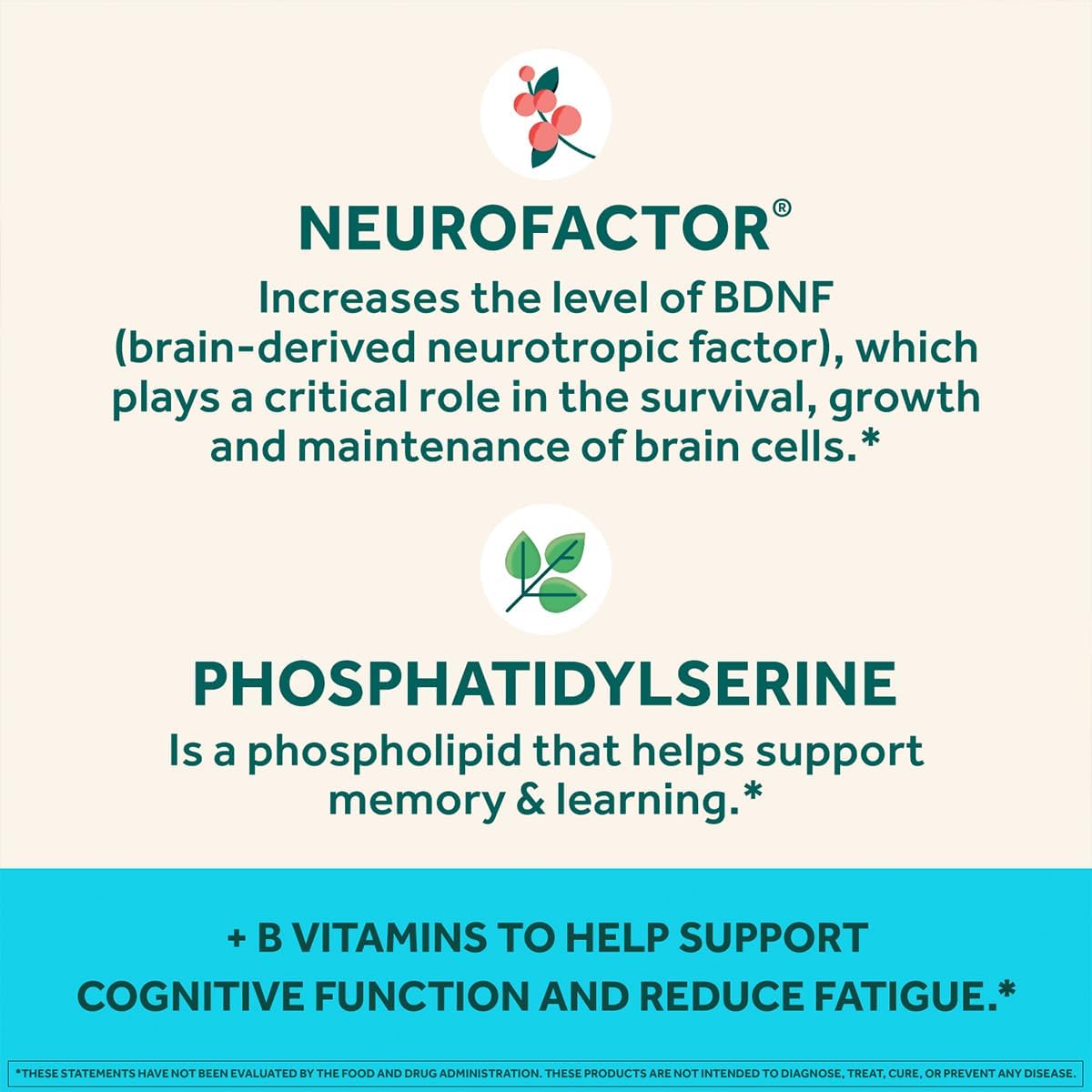 NEURIVA Plus Decaff Nootropic Brain Supplement Gummies, Strawberry, 50 Count (Pack of 3) - görsel 8