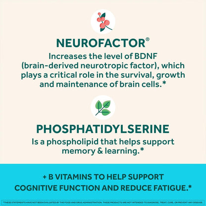 NEURIVA Plus Decaff Nootropic Brain Supplement Gummies, Strawberry, 50 Count (Pack of 3)