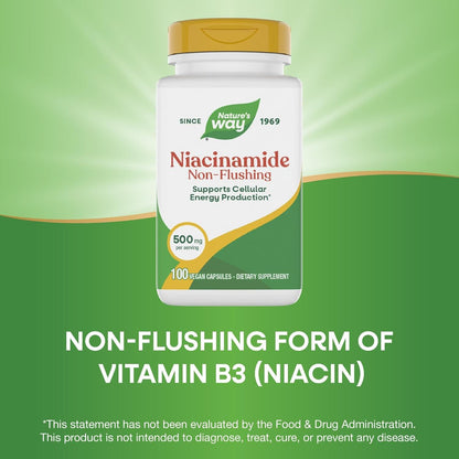 Nature's Way Niacinamide - Non-Flush Vitamin B3, 500mg, 100 Capsules