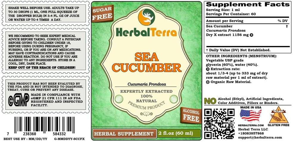 Sea Cucumber (Cucumaria Frondosa) Glycerite, Dried Sea Cucumber Alcohol-Free Liquid Extract 60ml - görsel 2