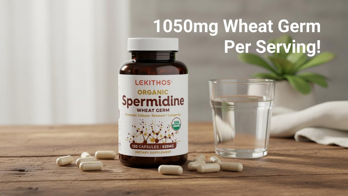 Lekithos Organic Spermidine Capsules | Organic Wheat Germ Extract | Promotes Cell Renewal, Healthy Ageing | Thiamine, Zinc, Manganese | 1050mg Per Serving | Certified Organic, Vegan, Non-GMO | 120 Capsules - görsel 3