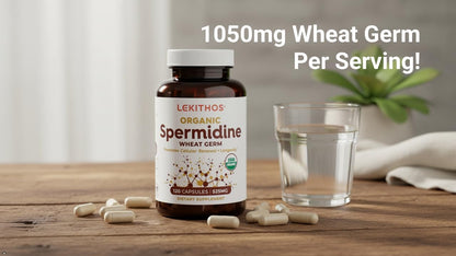 Lekithos Organic Spermidine Capsules | Organic Wheat Germ Extract | Promotes Cell Renewal, Healthy Ageing | Thiamine, Zinc, Manganese | 1050mg Per Serving | Certified Organic, Vegan, Non-GMO | 120 Capsules