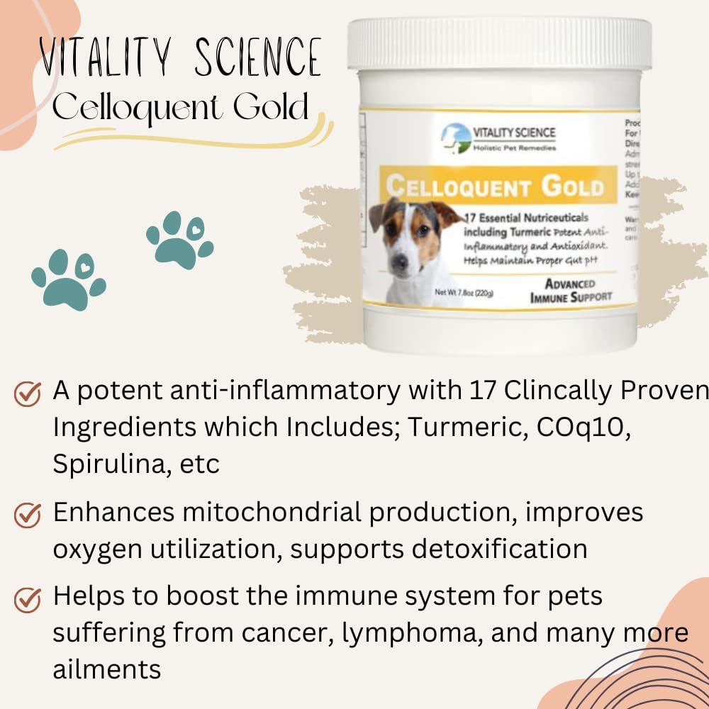 Vitality Science Celloquent Gold for Dogs | Holistic Advanced Immune Support Supplement | 17 Proven Ingredients | Autoimmune, Vomiting and Diarrhoea, Lethargy | 60g - görsel 5