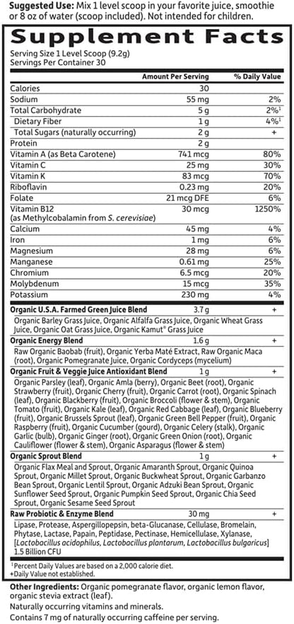 Garden of Life Raw Organic Perfect Food Energiser, Yerba Mate Pomegranate, 30 Servings