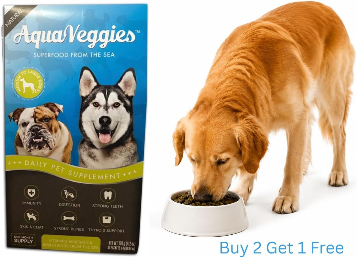 Superfood from the Sea for Pets - Daily Superfood Sachets for Medium & Large Dogs (Month's Supply) - görsel 2