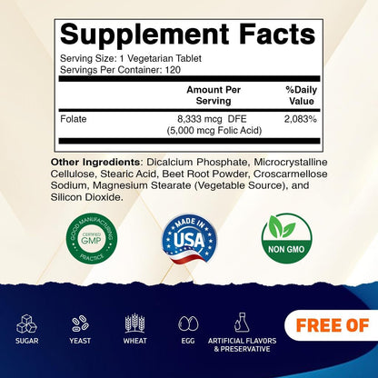 Vitamatic Folic Acid 5 mg (5,000 mcg) - 240 Vegetarian Tablets (2 Pack of 120)