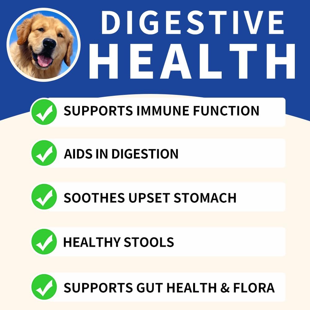 Baaww Probiotics for Dogs - Digestive Health & Immune Support Soft Chews (6 Billion CFUs, 90 Count) - görsel 4