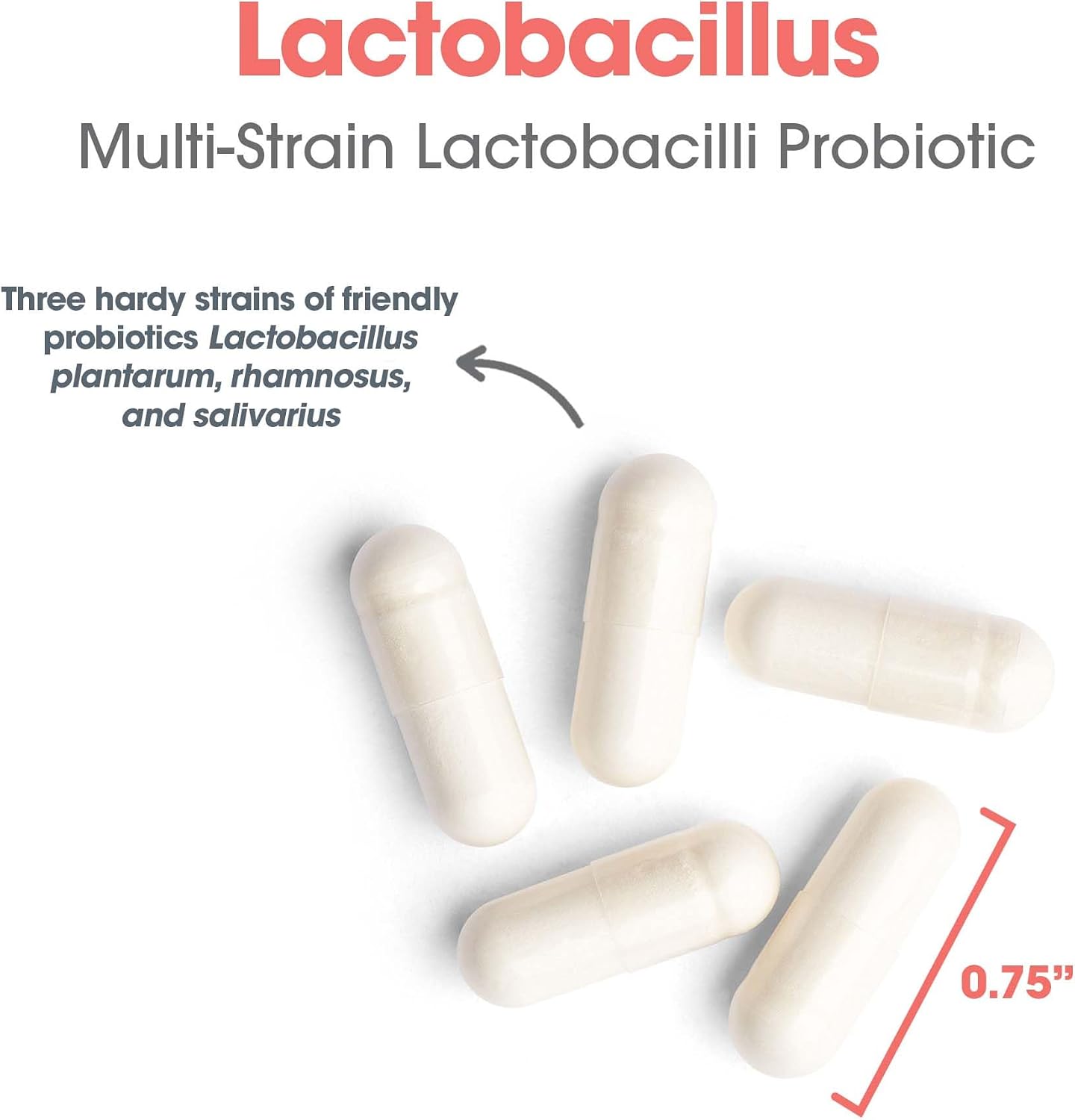 ARG Lactobacillus - Multi-Strain Probiotic Capsules - 100 Capsules - görsel 5