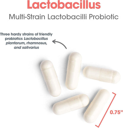 ARG Lactobacillus - Multi-Strain Probiotic Capsules - 100 Capsules