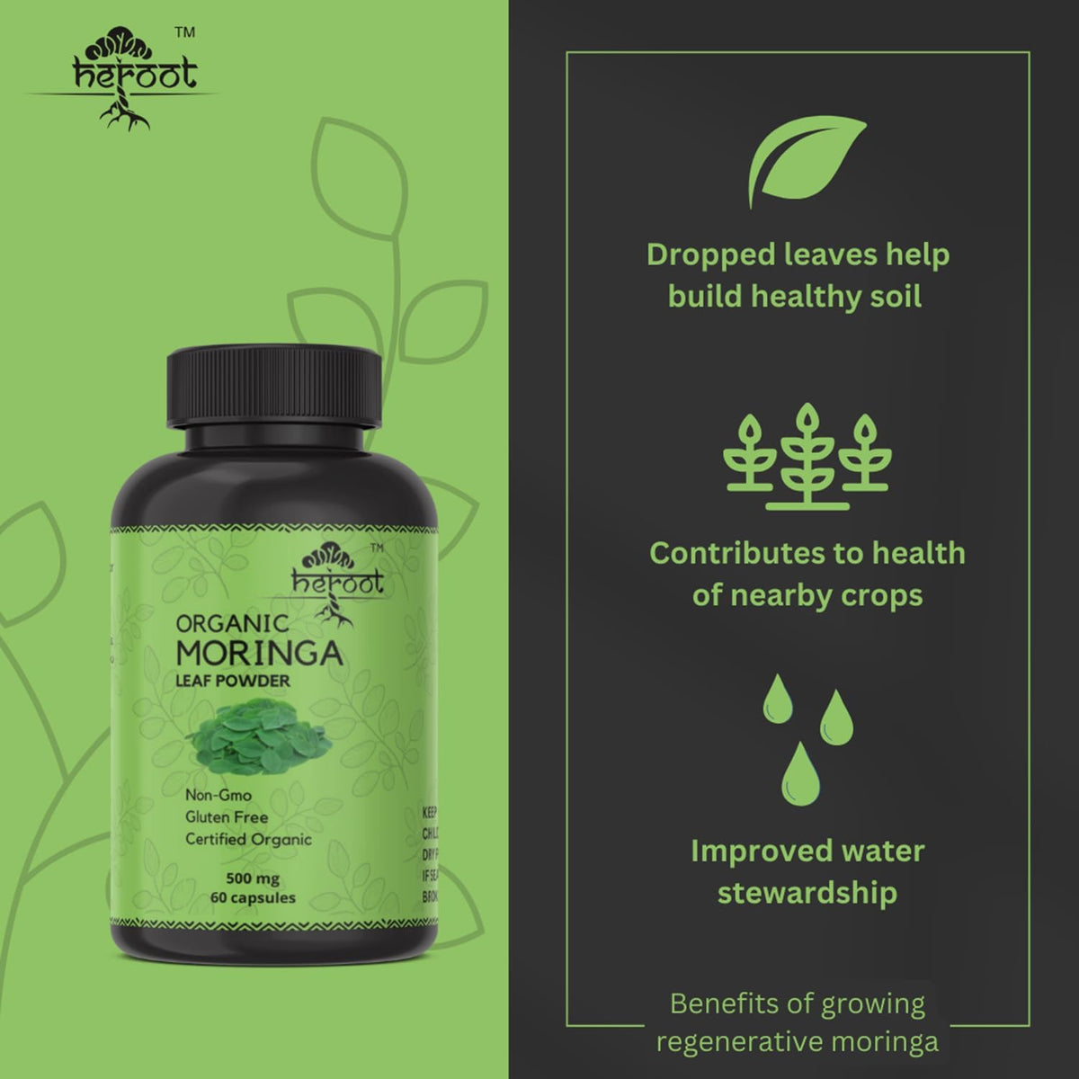 Organic Moringa Capsules | Green Moringa Leaf Supplement for Energy, Metabolism & Immune Support – 120 Capsules, Natural Superfood - görsel 5