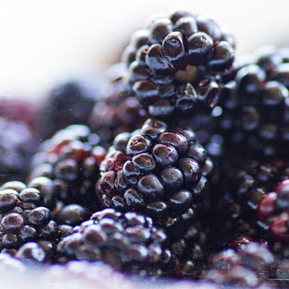 Pure Original Ingredients Blackberry Fruit Extract (227 g), 4:1 Powder
