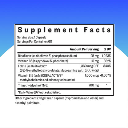 Seeking Health Homocysteine Nutrients – Food Supplement with L-Methylfolate, Vitamin B12, B6 & B2 for Healthy Cognitive Function & Homocysteine Metabolism (60 Capsules)