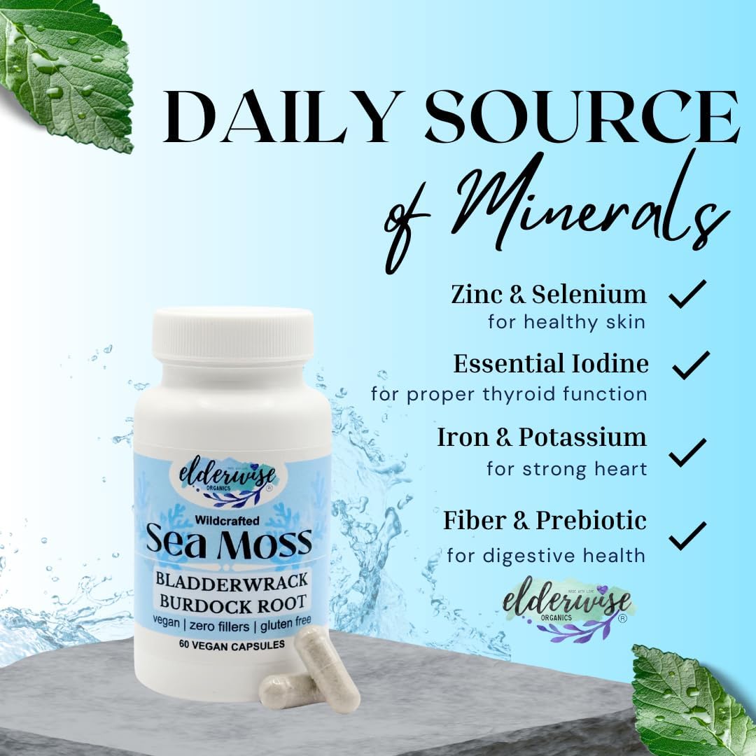 Elderwise Sea Moss Capsules with Burdock Root & Bladderwrack | Superfood Supplement | 60 Vegan Capsules | 30-Day Supply | 1400mg - görsel 3
