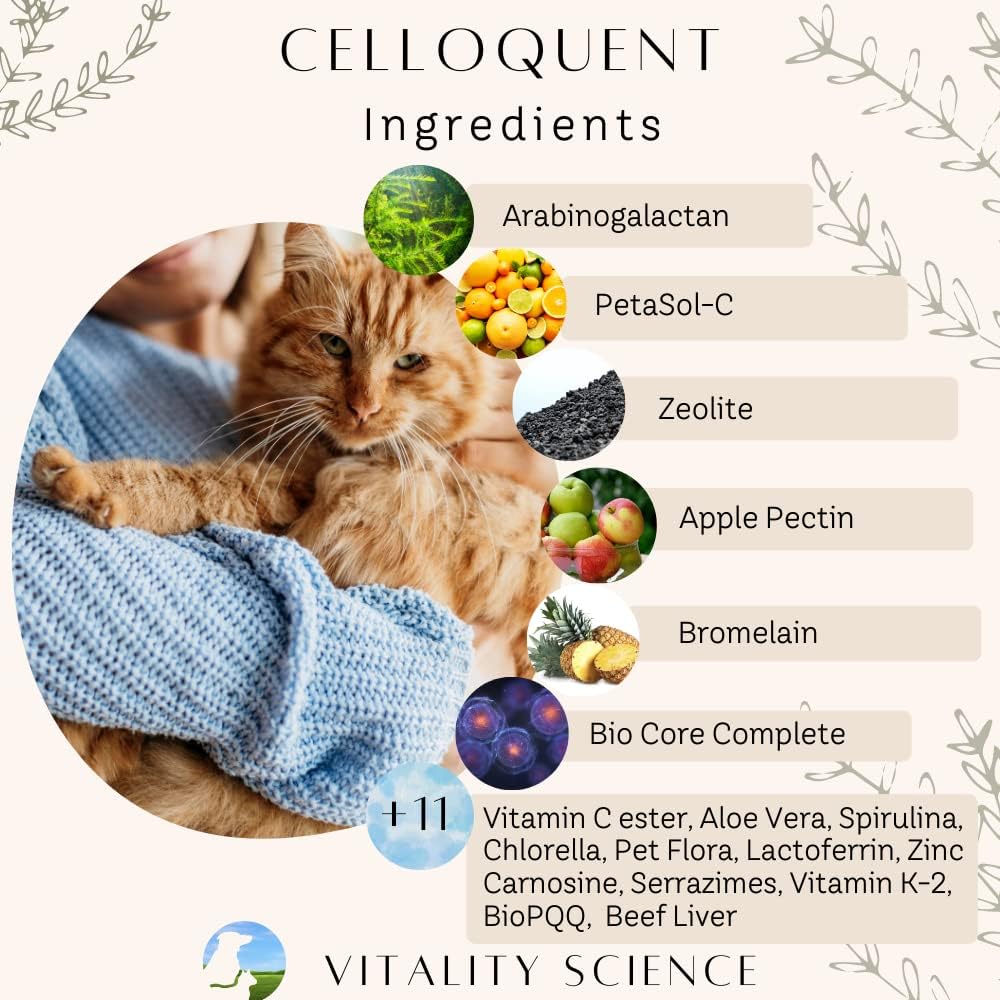 Vitality Science Advanced Immune Restoration Supplements for Dogs | Intensive Regeneration Protocol | Helps with Pain Relief (Medium) - görsel 4