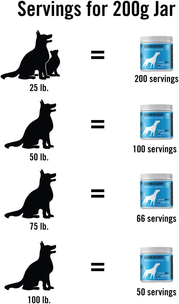 Canine Organic Mushroom Powder Skin and Coat Supplement, 200 Grammes (Packaging May Vary) - görsel 6