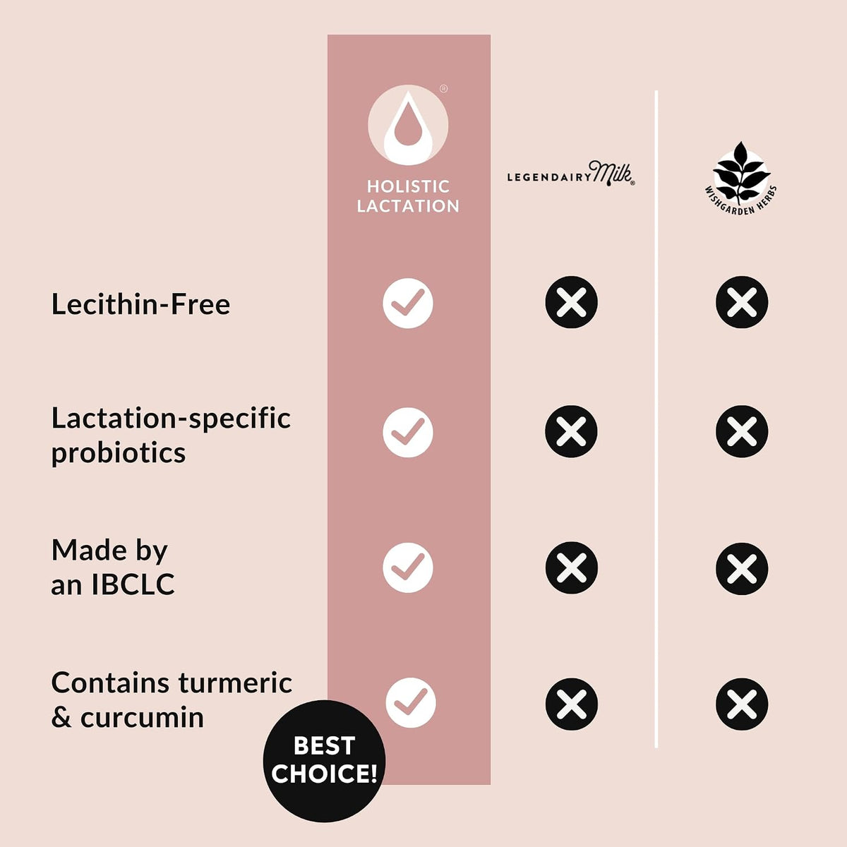Holistic Lactation® Lactation Flow Formula (60 Servings), Supplement to Support Breastmilk Flow & Milk Supply, Contains Breastfeeding Probiotic and Choline, Lecithin-Free - görsel 6