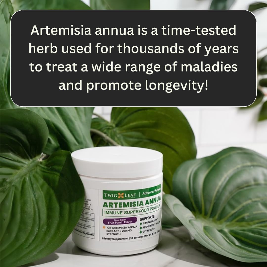 Artemisia Annua Sweet Wormwood Herbal Powder | Immune & Brain Support | Non-GMO, Vegan, Gluten-free (240g) - görsel 4