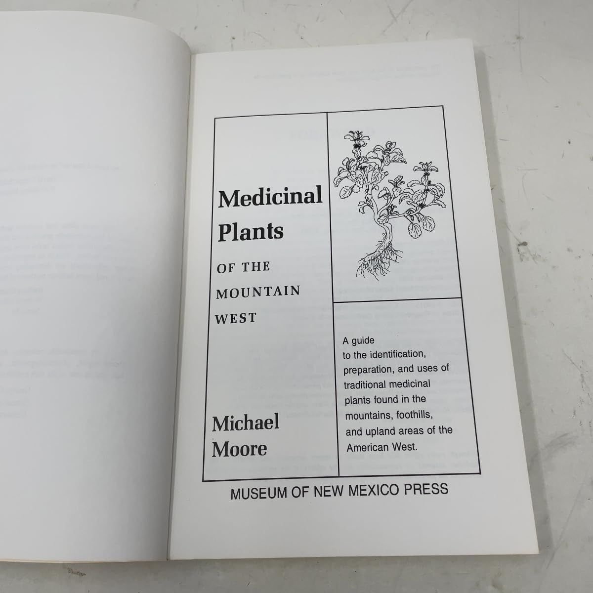 Medicinal Plants of the Mountain West - görsel 3