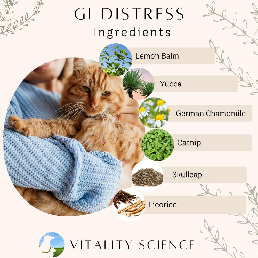 Vitality Science TRDV Protocol for Dogs | Probiotics for Diarrhoea & Digestive Support | Supplements for Dog Immune Support | Anti Diarrhoea for Dogs (Beef, Small) - görsel 4