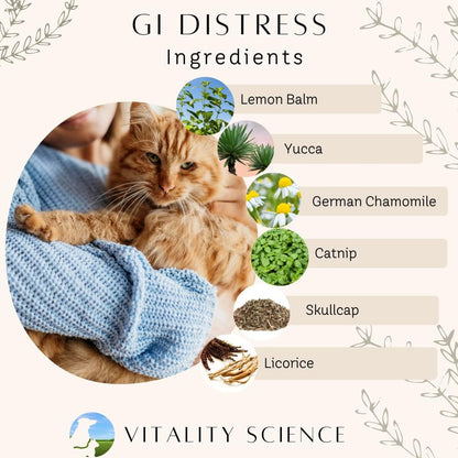 Vitality Science TRDV Protocol for Dogs | Probiotics for Diarrhoea & Digestive Support | Supplements for Dog Immune Support | Anti Diarrhoea for Dogs (Beef, Small)