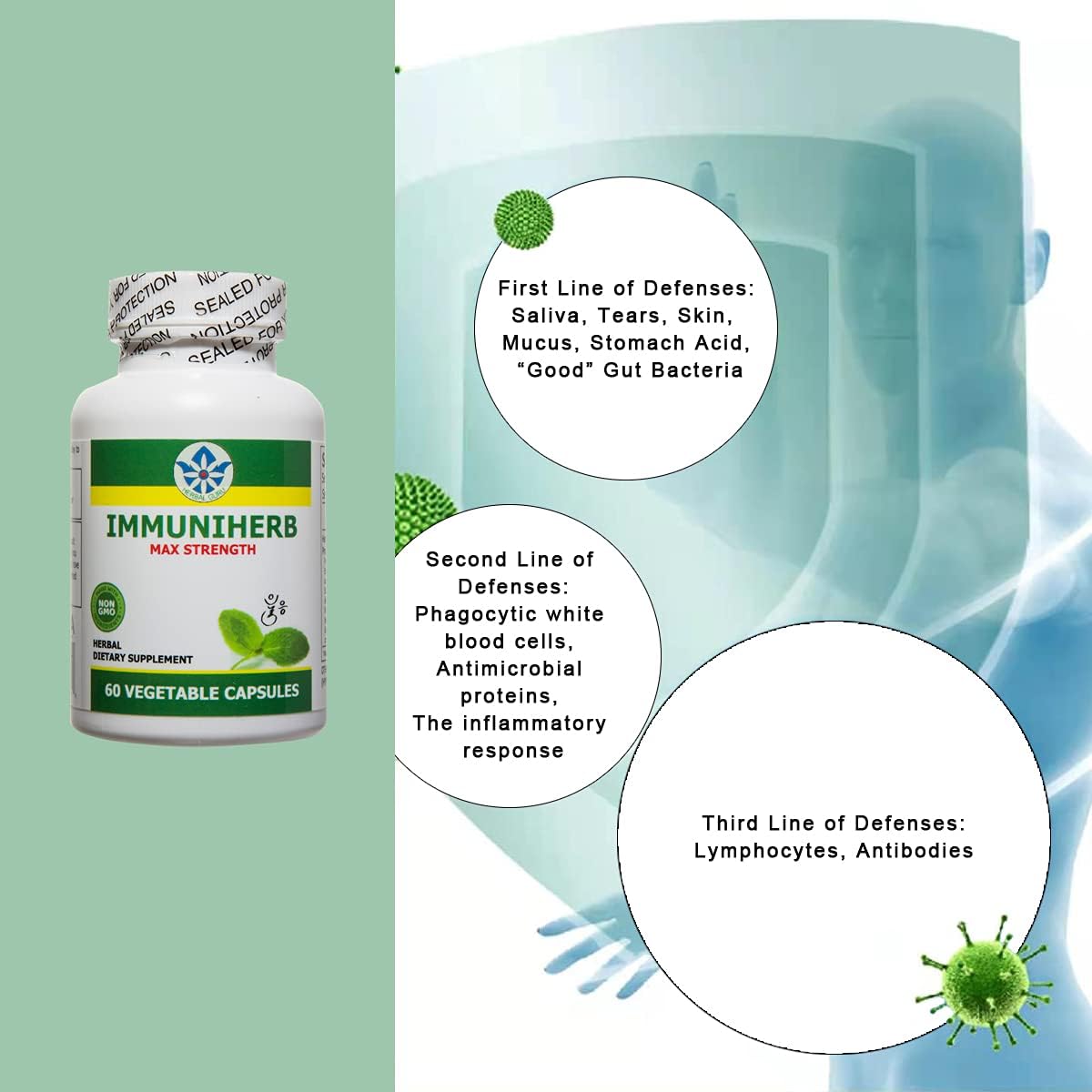 Immuniherb Immune Support Supplement – Herbal Immunity with Ginger, Forsythia, Liquorice Root, Vitamin C & Zinc – 60 Veg Capsules - görsel 6