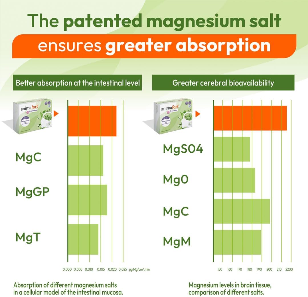 Animafort CronoMag - Magnesium Complex with 6 High-Absorption Salts, Vitamins B12 & D, 60 Capsules - görsel 5
