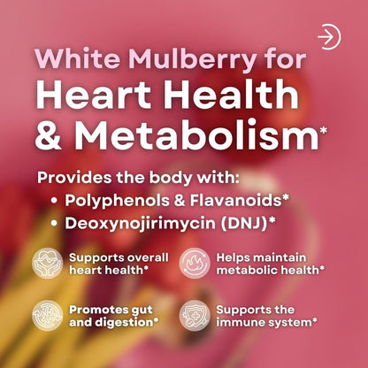 Vitapia White Mulberry Leaf Extract 1000mg – 12:1 Concentrated Food Supplement – 180 Vegan Capsules