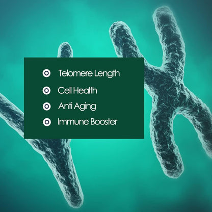 CAW Telomere Support Supplement | Anti-Ageing Cellular Health | Nano Cycloastragenol 5mg 30 Enteric-Coated Capsules 1 Bottle