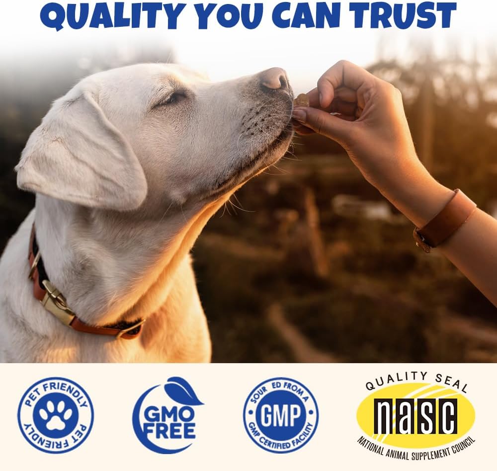 Baaww Probiotics for Dogs - Digestive Health & Immune Support Soft Chews (6 Billion CFUs, 90 Count) - görsel 7