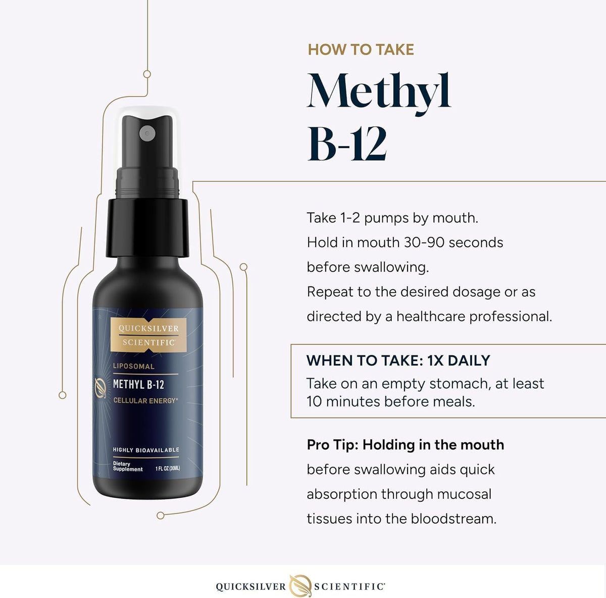 Quicksilver Scientific Methyl B12 1000mcg Vitamin B12 as Methylcobalamin with Nanotechnology for Superior Absorption – Energy Support Supplement (30ml, 90 Servings) - görsel 6