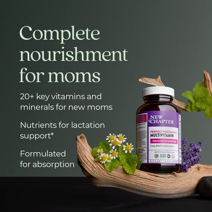 New Chapter Postnatal Vitamins Breastfeeding Supplement – Complete Multivitamin with Fermented Vitamin D3 & B Vitamins, Organic Vegetables & Herbs, Non-GMO, 192 Count