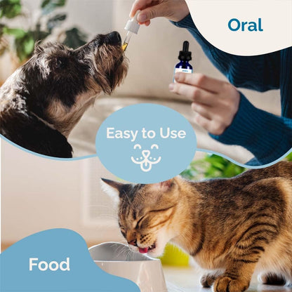 PranaPets Liver Supplement for Pets – Herbal Drops for Dogs & Cats